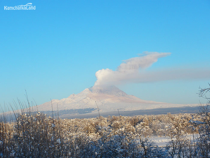 Tours to Kamchatka in February