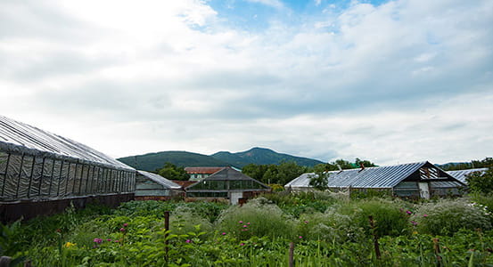 Pauzhetka village.