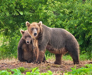 Sights in the south of Kamchatka.