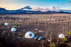 glamping in the Dead Forest