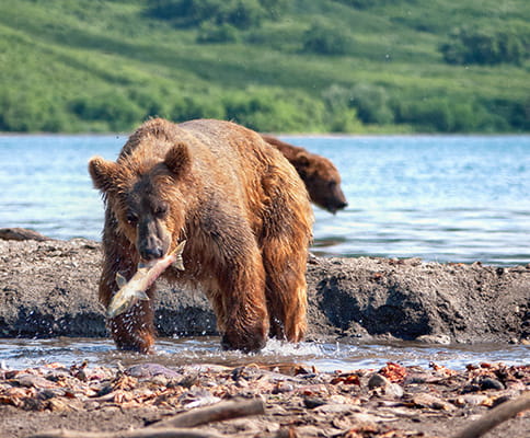 Excursion to the Kuril Lake