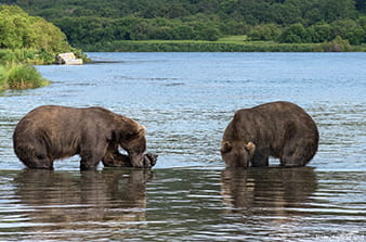 Kuril Lake in Kamchatka excursion