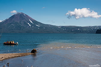 Kuril Lake bears