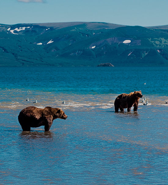 Tour to Kuril Lake by car