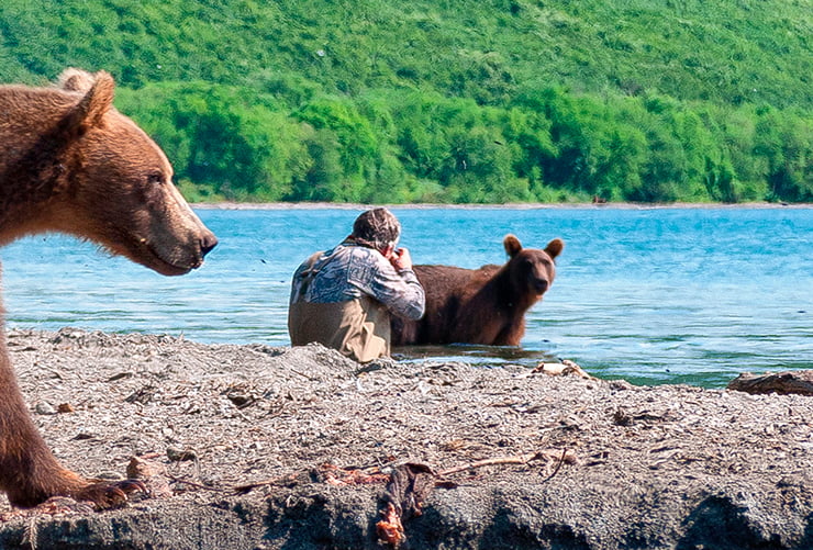 Kamchatka bears tour