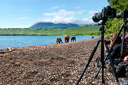 photographing bears up close