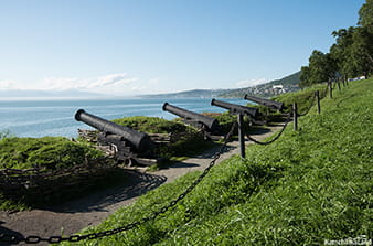 Maksutov battery