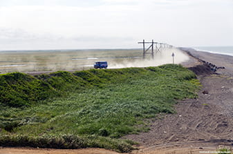 the Bukhana dusting the roads