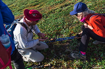 shiksha harvest