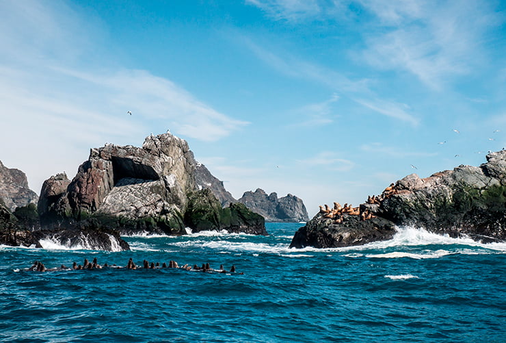 Boat trip to Russkaya Bay