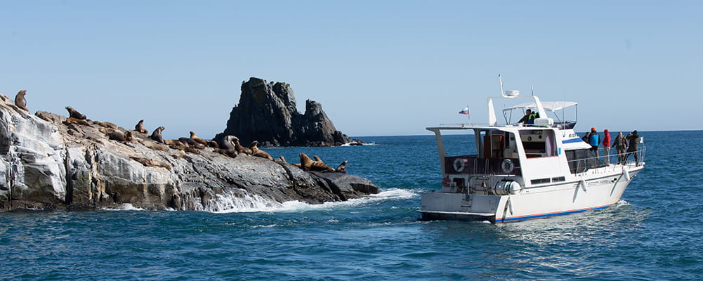 Boat trip to Russkaya Bay