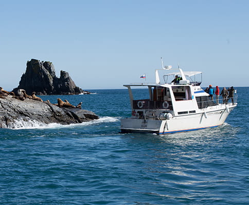 Boat trip to Russkaya Bay