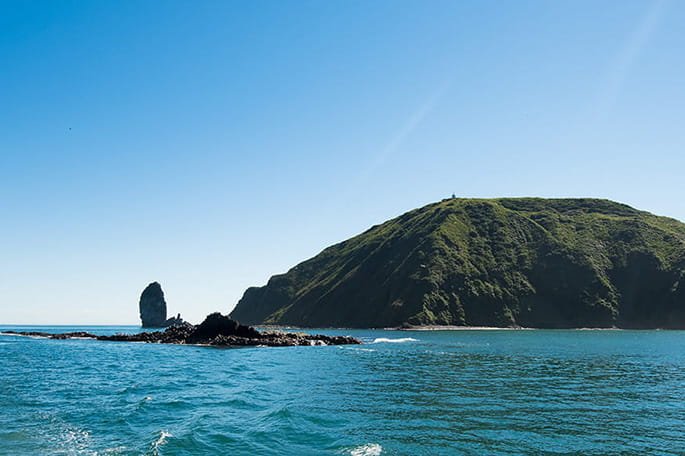 Excursion to Starichkov Island