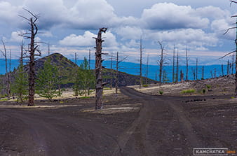 road to the volcano