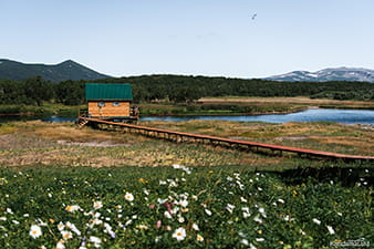 hot springs