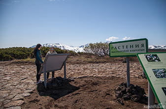 information signs